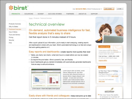 Birst.com Website (secondary page)